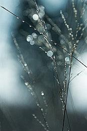 Fami通新一周销量榜 《艾尔登法环》登顶